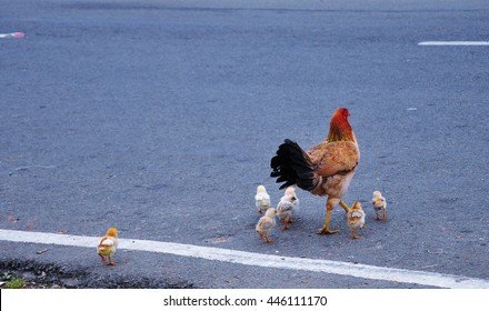 Chicken road originale a Italy